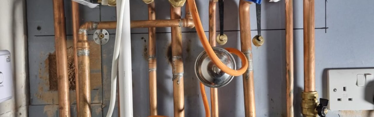 WhatsApp Image 2025-11-23 at 10.54.26 PM