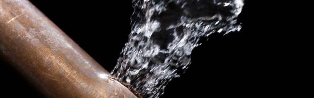 WhatsApp Image 2025-11-23 at 11.05.50 PM